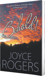 Behold! by Joyce Rogers published by Innovo Publishing