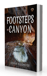 Buried Treasure and Stranded: Footsteps in the Canyon Series for Young Teens by Joann Klusmeyer published by Innovo Publishing.