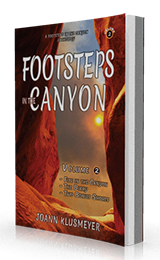 Fire in the Canyon and the Diary: Footsteps in the Canyon Series for Young Teens by Joann Klusmeyer published by Innovo Publishing.