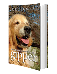 The Gospel According to Gipper by Joe Hamlet published by Innovo Publishing