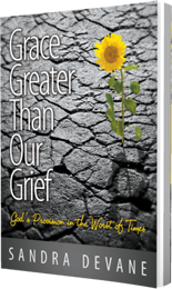 Grace Greater Than Our Grief by Sandra Devane published by Innovo Publishing