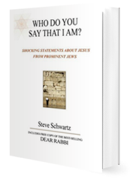 Who Do You Say That I Am? by Steve Schwartz published by Innovo Publishing