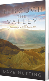 Through the Valley by Dave Nutting published by Innovo Publishing