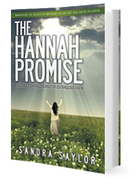 The Hannah Promise by Sandra Saylor published by Innovo Publishing
